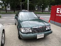 �����Z�f�X�E�x���c �d320�@24�u�N�[�y